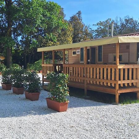 Mobile Home Viareggio - Including Airco- Camping Paradiso - G008 Kültér fotó