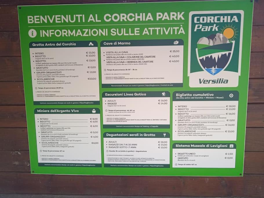 Mobile Home Viareggio - Including Airco- Camping Paradiso - G008 Kültér fotó