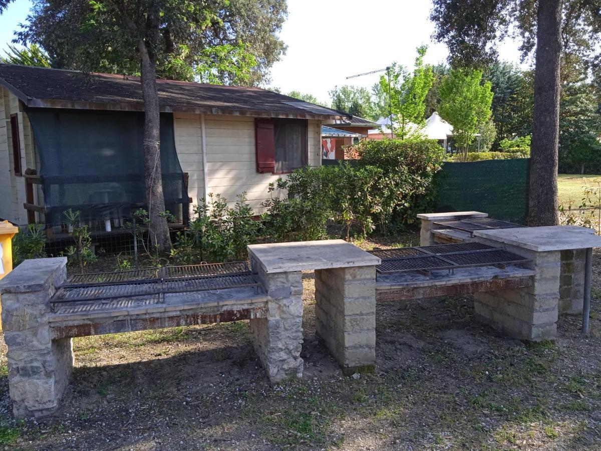 Mobile Home Viareggio - Including Airco- Camping Paradiso - G008 Kültér fotó